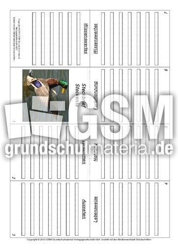 Faltbuch-Stockente.pdf